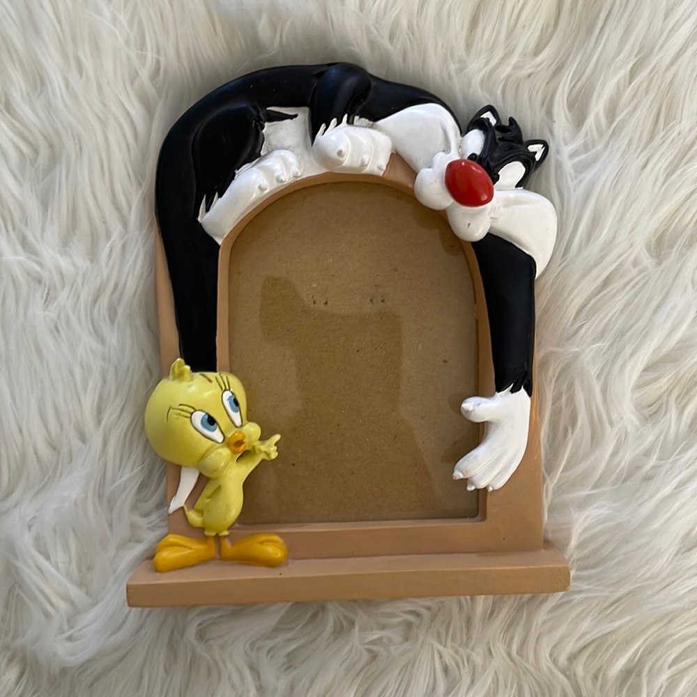 Tweety and Sylvester picture frame